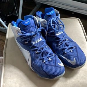 Lebron 12 What If Sneakers